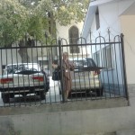 d184d0bed182d0be11339